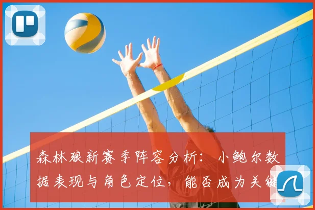 森林狼新赛季阵容分析：小鲍尔数据表现与角色定位，能否成为关键拼图？