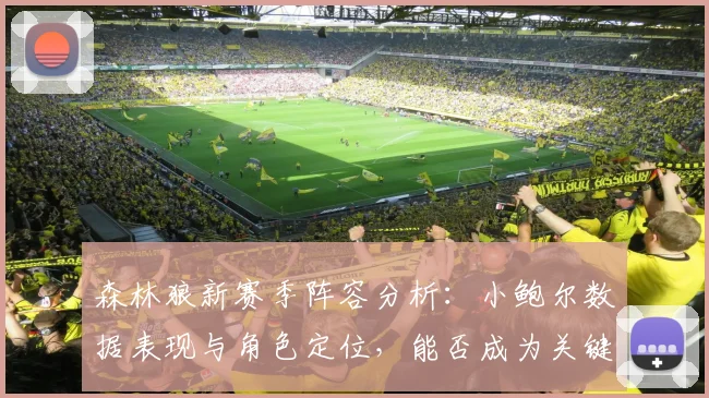 森林狼新赛季阵容分析:小鲍尔数据表现与角色定位,能否成为关键拼图?